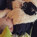 Henry Haag - @henrythe8thiamiam - Instagram