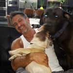 Henry haag - @henry_haag12 - Instagram