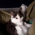 henryhamlinsr - @henryhamlinsr - Instagram