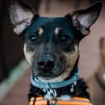 Henry Hanks - @hnry_hnks - Instagram