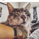 Henry Harding - @henryharding44 - Instagram