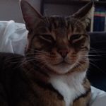 Henry Harding - @hh42.34 - Instagram