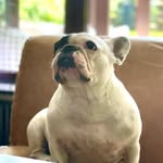 henry Hartmann - @henryhartmann75 - Instagram