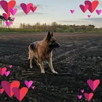 Henry Hartmann - @henry.hartmann.980 - Instagram
