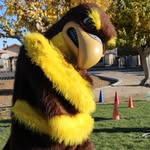 Henry Hawk - @helendale_elementary - Instagram