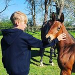 Henry Hermann - @henryhermann54 - Instagram
