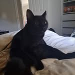 Henry Herold - @henryeherold - Instagram