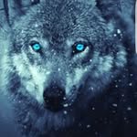 wolf kid - @henry.herrmann.965 - Instagram
