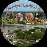 Henry Hidalgo Rivero - @losaperos_debruzual - Instagram