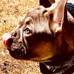 Henry Hinckley - @henryhinckley - Instagram