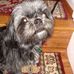 Henry Hinkle - Facebook