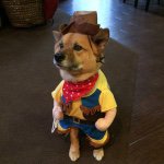 Herman Henry Hinkle - @hermie_thesweetlife - Instagram