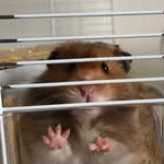 Henry Hodson - @h.j.h.31 - Instagram