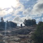 Henry Hoffman - @henryhoffman13 - Instagram