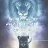 Henry Hoffman - @henry.hoffman58 - TikTok