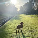 Henry Hofmann - @hrh.hof - Instagram
