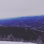 Henry Hogg - @_henry.h7_ - Instagram