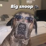 Henry Hogg - @hogg.henry - Instagram