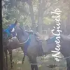 Henry Hogg - @henry.hogg - TikTok