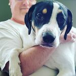 Henry Holstein - @henryholsteinshouse - Instagram