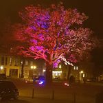 Henry Holstein - @henry.holstein - Instagram