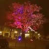 henryholstein659 - @henryholstein659 - TikTok