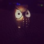 Henry H. - @henry_hootington - Instagram