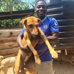 henry hope for animals official - @henry_hope_for_animal_offical - Instagram