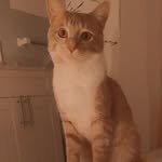 Henry - @henry.hopps - Instagram