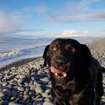 Henry Horrell - @henry.horrell.14 - Instagram