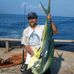 Henry Houck - Facebook