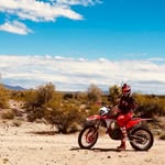 Henry Houck - @henry.houck - Instagram