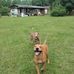 Henry Ingram - Facebook
