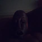 Henry Ingram - @henry.ingram.9237 - Instagram