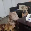 Henry Ingram - @henry.ingram0 - TikTok