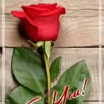 Henry jack - @henryjack6369 - Instagram