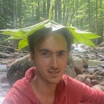 Henry Jorgensen - @hop.like.henry - Instagram