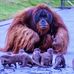 Henry Josephson - Facebook