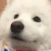 henryjphson97 - @kahootytlive - TikTok