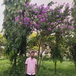 Henry Joy - @_henry_joy_ - Instagram