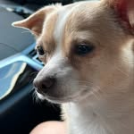 Enrique “Henry” Kimbrough - @hdawg479 - Instagram