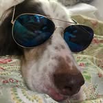 Jeep & Henry Kinney - @jeepspeeps14 - Instagram