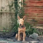 Henryk - @henryknott2008 - Instagram
