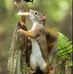 Henry Kober - Facebook