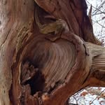 Henry Köhler - @henrykohler231 - Instagram