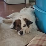 Henry Kohlruss - @henrykohlruss2018 - Instagram