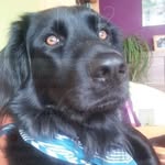 Henry Kolb - @henry.kolb.75 - Instagram