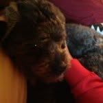 Henry - @henrykoller - Instagram