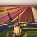 Henry Kroll - Facebook