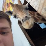 Henry Kron - @henry_kron - Instagram